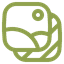 SnapFrame Logo